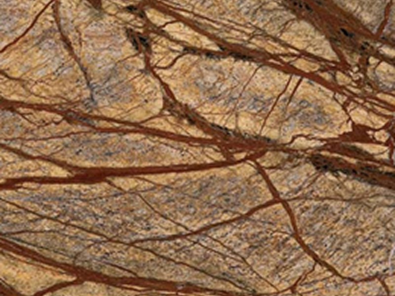 BROWN FOREST